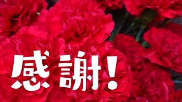 母の日！　感謝です！！｜「うさみ花店」　（静岡県静岡市清水区の花キューピット加盟店 花屋）のブログ