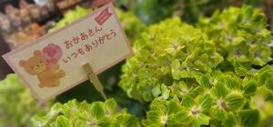 あー！　母の日ー！！！！！！！|「うさみ花店」　（静岡県静岡市清水区の花屋）のブログ
